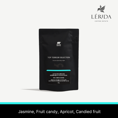2025 - Panama Finca Lerida Black Honey Geisha Lot 5 Montana #0380 30g