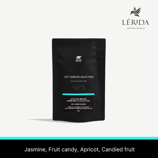 2025 - Panama Finca Lerida Black Honey Geisha Lot 5 Montana #0380 30g