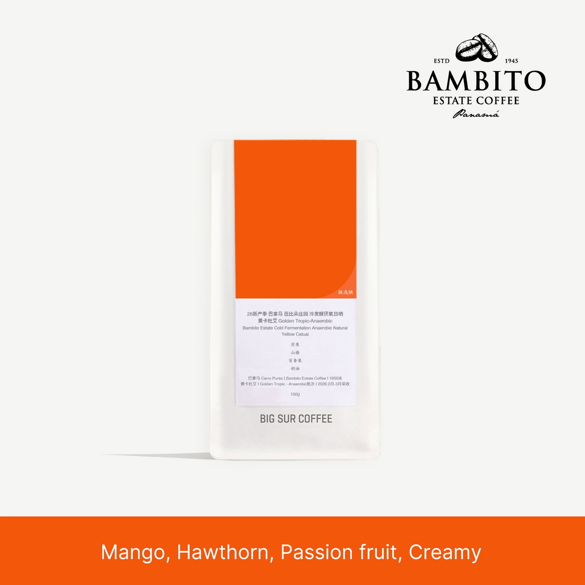 26 new season - Panama Bambito Estate Cold Fermentation Anaerobic Natural Yellow Catuai Golden - 150g