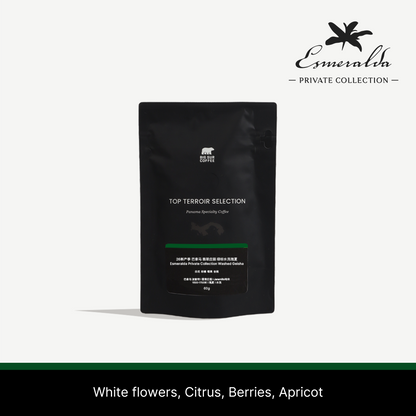 26 New Season - Panama Esmeralda Private Collection Washed Geisha 60g