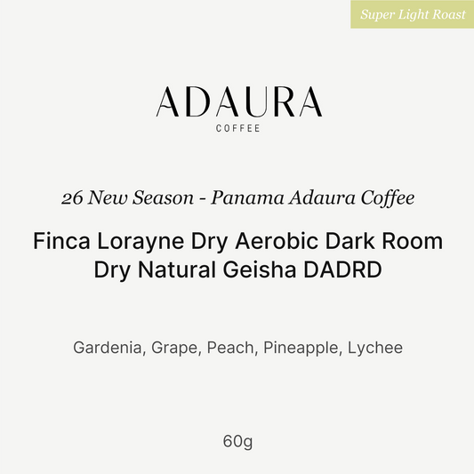 26 New Season - Panama Adaura Coffee Finca Lorayne Dry Aerobic Dark Room Dry Natural Geisha DADRD 60g