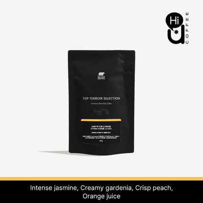26 New Season - Panama Los Lajones Bambu Geisha Washed Lot 8413 - 60g