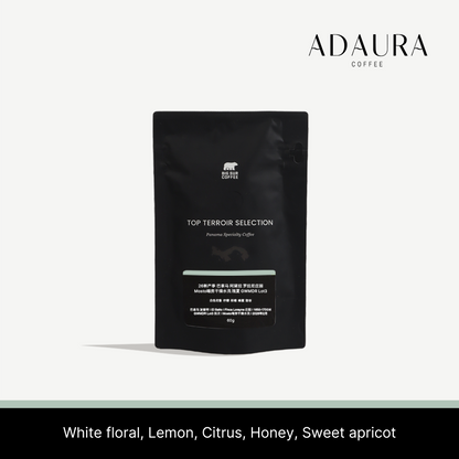 26 New Season - Panama Adaura Coffee Finca Lorayne Geisha Washed Mosto Dry Room GWMDR Lot3 60g