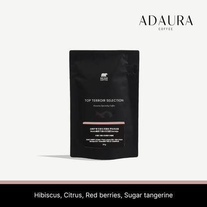 26 New Season - Panama Adaura Coffee Finca Lorayne Geisha Washed Mosto Wooden Tray Dried Bandeja 60g