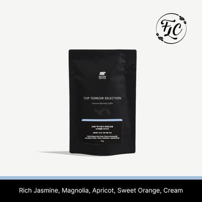 26 New Season - Panama Los Cenizos Washed Geisha GW300 30g