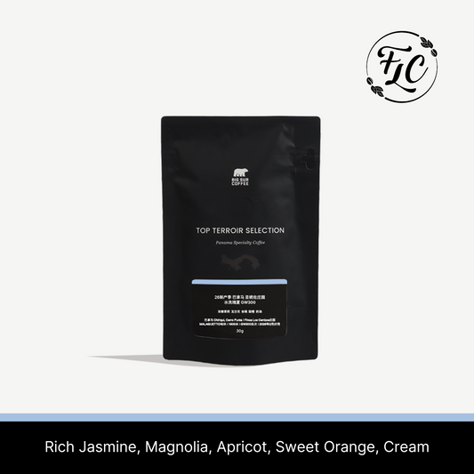 26 New Season - Panama Los Cenizos Washed Geisha GW300 30g