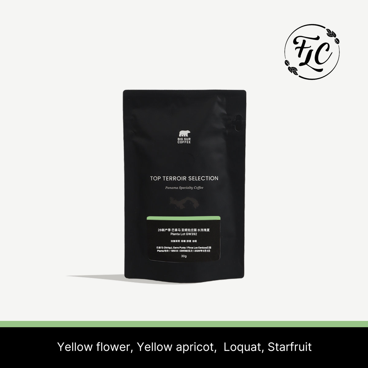 2026 - Panama Los Cenizos Washed Geisha Planta Lot GW392 - 30g