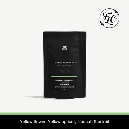 2026 - Panama Los Cenizos Washed Geisha Planta Lot GW392 - 30g