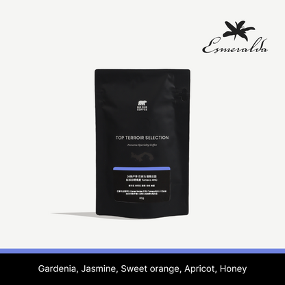 26 New Season - Panama Esmeralda Special Natural Geisha Tumaco 4NC 60g