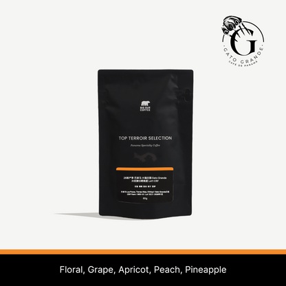 26 New Season - Panama Gato Grande Cold Fermentation Natural Geisha Lot1 CRF 60g