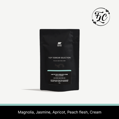 2026 - Panama Los Cenizos Washed Geisha Pinos Lot GW391 - 30g