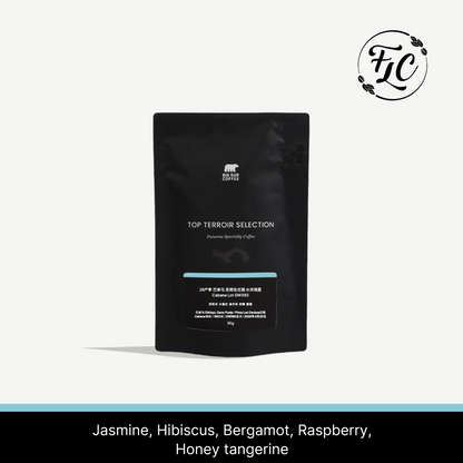 2026 - Panama Los Cenizos Washed Geisha Cabana Lot GW393 - 30g