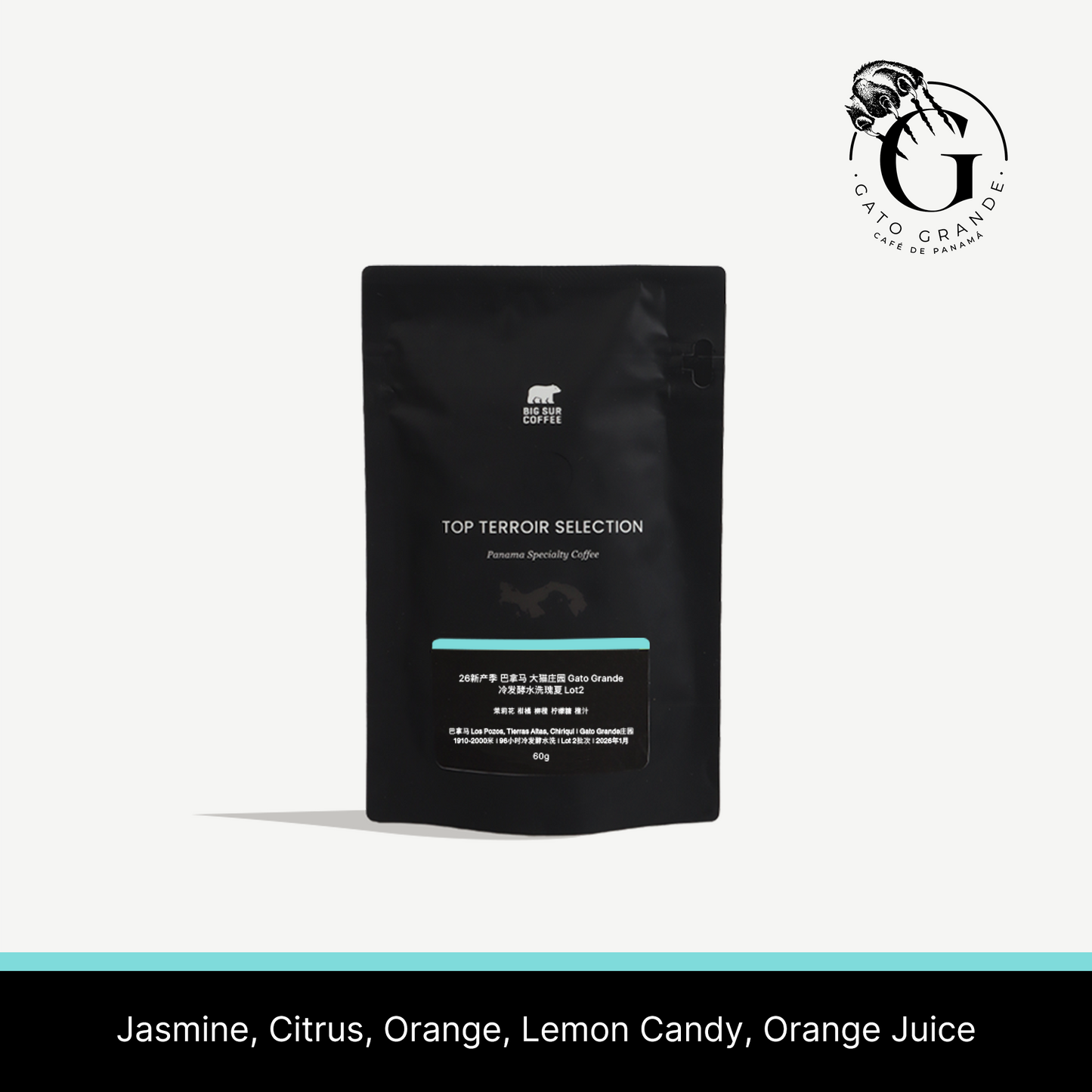 26 New Season - Panama Gato Grande Cold Fermentation Washed Geisha Lot2 60g