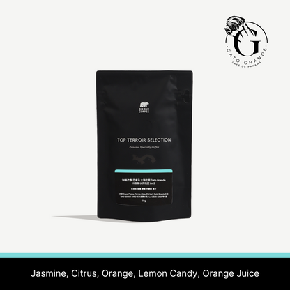 26 New Season - Panama Gato Grande Cold Fermentation Washed Geisha Lot2 60g