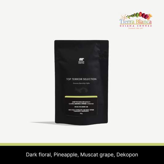 26 New Season - Panama Tierra Blanca Cordillera Super Selected Natural Geisha - 60g