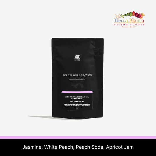26 New Season - Panama Tierra Blanca Cold Room Dry Natural Geisha C2 60g
