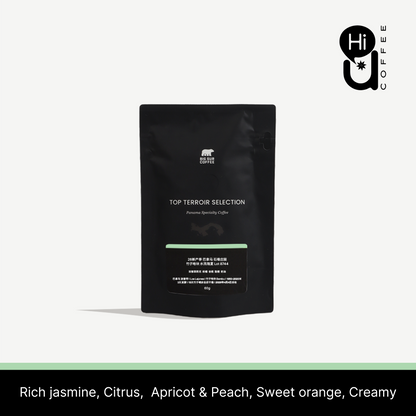 26 New Season - Panama Los Lajones Bambu  Geisha Washed Lot 8744 - 60g