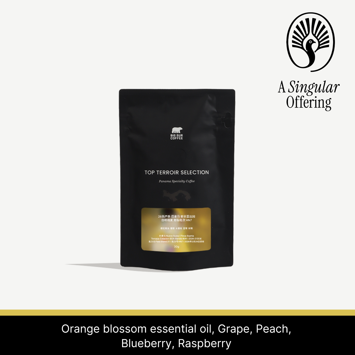 26 New Season - Panama Finca Sophia Heritage Collection Natural Geisha Auction Lot HN7 -30g