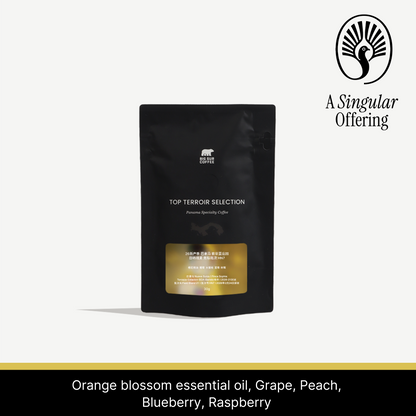 26 New Season - Panama Finca Sophia Heritage Collection Natural Geisha Auction Lot HN7 -30g