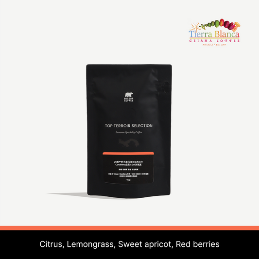 26 New Season - Panama Tierra Blanca Cordillera C2 Washed Geisha - 60g