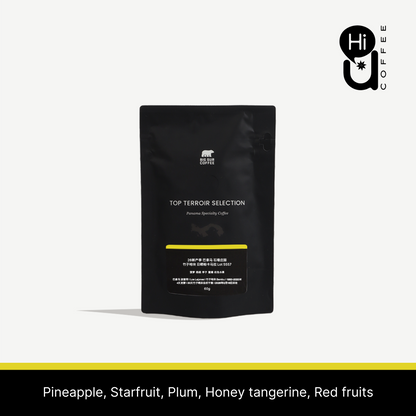 26 New Season - Panama Los Lajones Bambu Natural Pacamara Lot 5557 - 60g