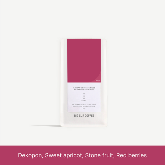 25/26 - Peru Finca Miraflores Honey Red Bourbon 144 100g