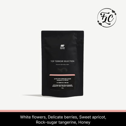 2026 - Panama Los Cenizos Washed Bourbon Malaguetto Lot BW158 - 60g