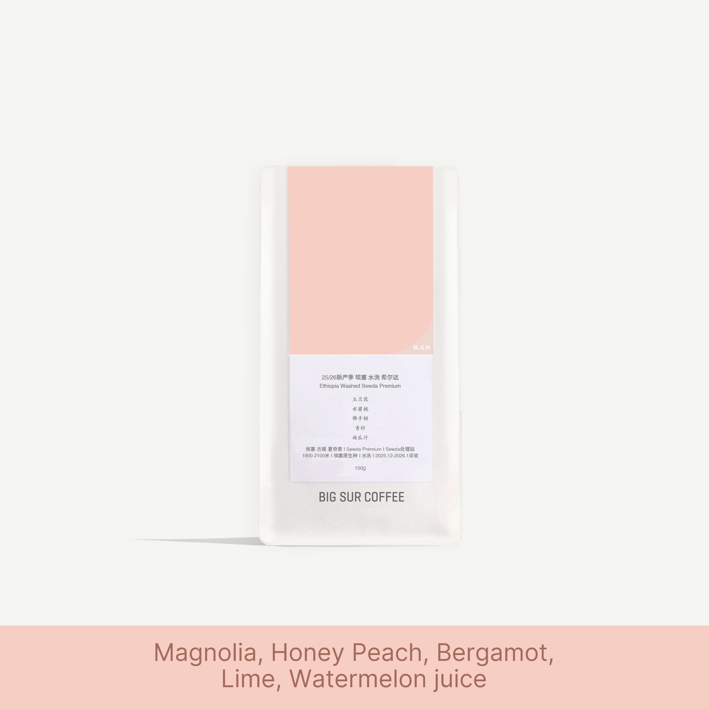 25/26 New Season Ethiopia Washed Sewda Premium 150g