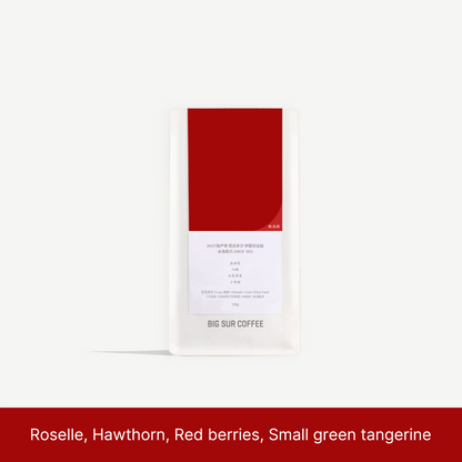 26/27 New Season - Ecuador Eliza Farm  Washed Sidra AWDF 3X3 - 150g