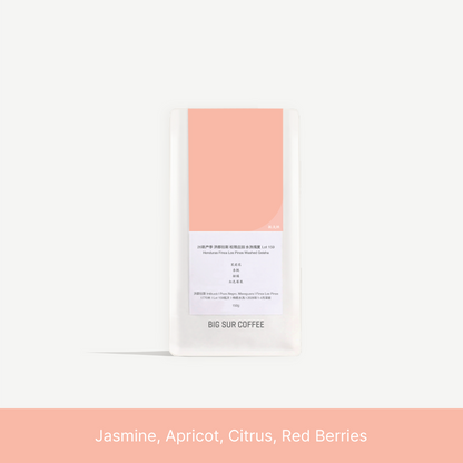 26 New Season - Honduras Finca Los Pinos Washed Geisha Lot 159 150g