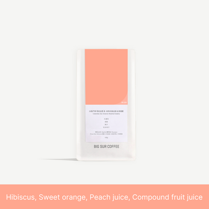 2026 New Season - Colombia San Antonio Washed Geisha - 150g