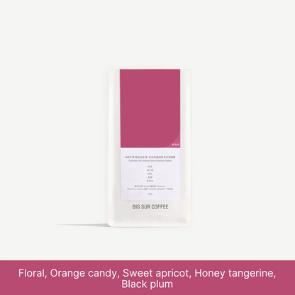 2026 New Season - Colombia San Antonio  Semi-Washed Geisha - 150g