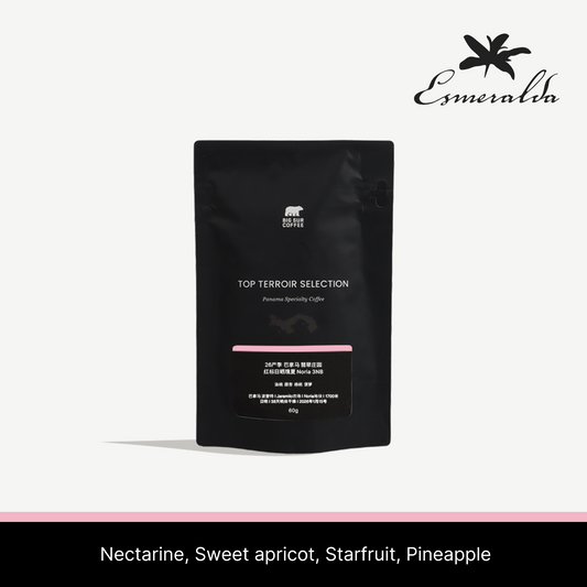 26 New Season - Panama Esmeralda Special  Natural Geisha Noria 3NB 60g