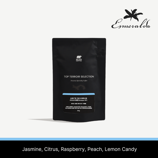 26 New Season - Panama Esmeralda Special  Washed Geisha Bosque 4FC 60g