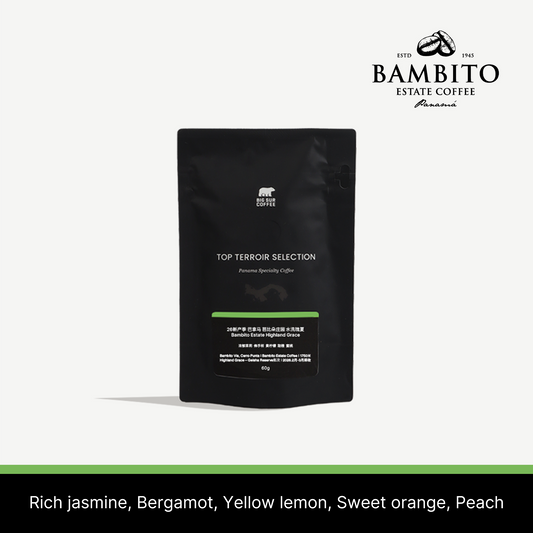 26 New Season - Panama Bambito Estate  Washed Geisha Highland Grace 60g