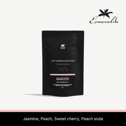 26 New Season - Panama Esmeralda Special Natural Geisha Guabo 4NC 60g