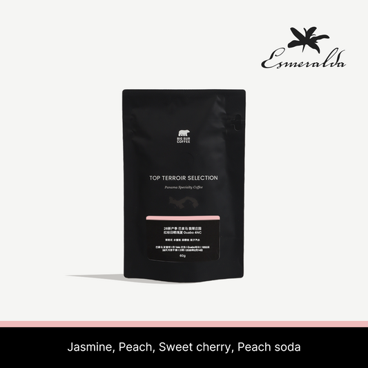 26 New Season - Panama Esmeralda Special Natural Geisha Guabo 4NC 60g