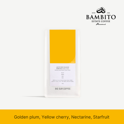 26 New Season - Panama Bambito Estate Natural Yellow Catuai Golden Tropic 150g